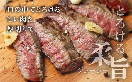 【2027年3月発送】飛騨牛 ヒレブロック500g ヒレ肉