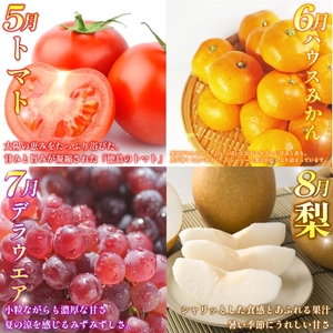 旬の果実 定期便 12回 フルーツ 