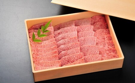 牛肉 佐賀牛 ミスジ 焼肉用 450g 牛 肉 黒毛和牛 焼肉 希少部位 霜降り 艶さし ※配送不可：北海道、沖縄、離島