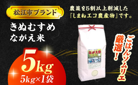 【令和7年産】松江市産きぬむすめ「ながえ米」5kg(5kg×1) 島根県松江市/有限会社藤本米穀店[ALCG015]