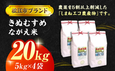 【令和7年産】松江市産きぬむすめ「ながえ米」20kg(5kg×4) 島根県松江市/有限会社藤本米穀店[ALCG016]