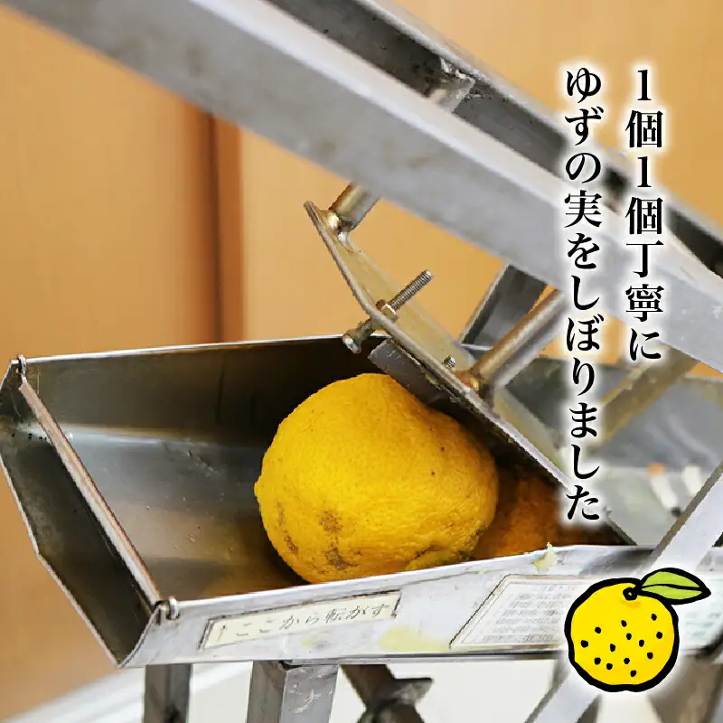 訳あり ゆずしぼり 100% 300ml×2本 ゆず