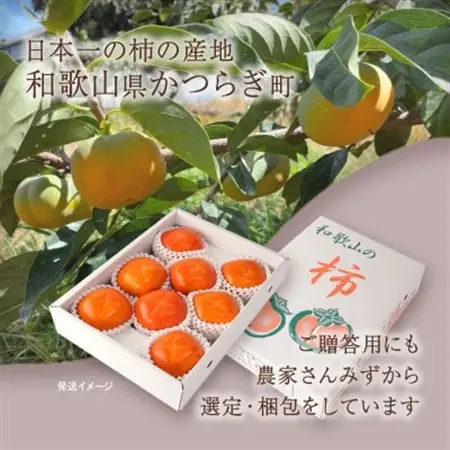 先行予約!　紀の川柿(果実の中身が黒い!黒蜜柿)希少栽培!　秀品6個～9個　こだわり農家厳選!【1695100】