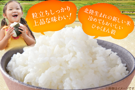 米 令和7年産 ひゃくまん穀 精米 10kg [能登ファーム志賀 石川県 志賀町 CH4004]