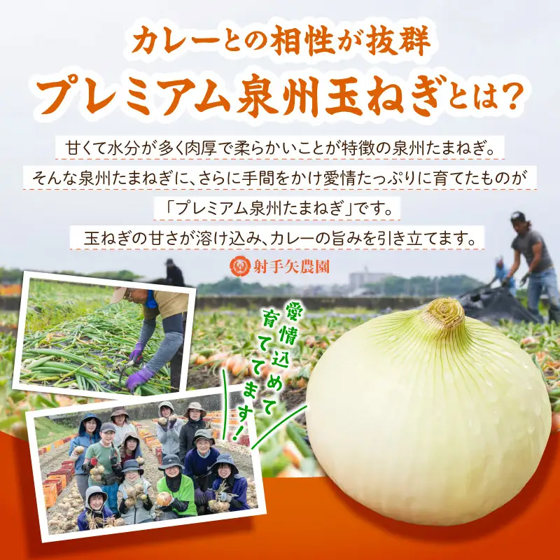 射手矢農園 特製カレー 2箱