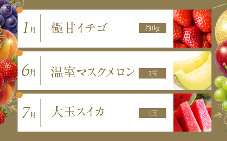 フルーツ定期便 6回 プレミアム 果物 どうまい