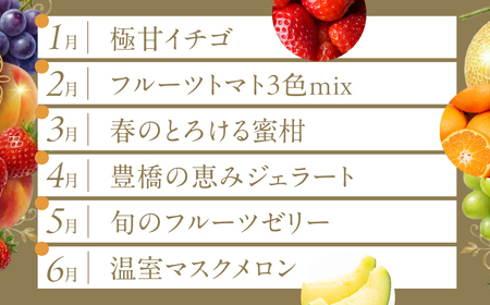 フルーツ定期便 12回 プレミアム 果物 どうまい