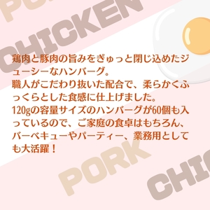 旨みチキンとポークのハンバーグ 120ｇ×60個（冷凍直送）