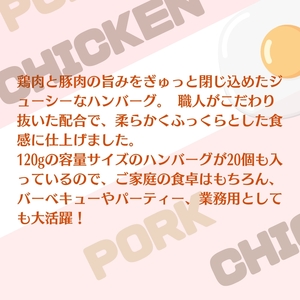 旨みチキンとポークのハンバーグ 120ｇ×20個（冷凍直送）