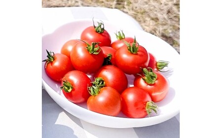 ハッピーマン＆完熟トマトセット 2kgセット 2キロセット ピーマン とまと 野菜 やさい おかず 副菜 新鮮 おいしい 採れたて 国産 お取り寄せ 常温 高知県 土佐市【株式会社　植田ファーム】 [BQAT013]