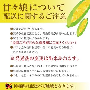 極甘フルーツとうもろこし「甘々娘（かんかんむすめ）」特Ａ品・激選贈答用 5～6本入り 【2026年6月中旬から発送】 アグリ甲斐 [5839-8579] 