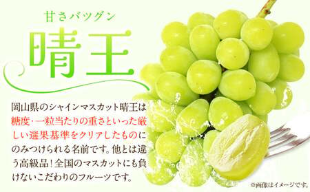 白桃&シャインマスカット（晴王）セット 大【配送不可地域あり】