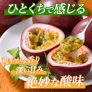 2026年 発送 パッションフルーツ 10玉～14玉 マンゴーの森 IB040-010 パッション フルーツ 果物