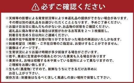 【年5回定期便】 熊本おすすめフルーツ定期便（みかん・いちご・メロン＆デコポン・デコポン・メロン） 【2026年12月上旬発送開始】 みかん ミカン 蜜柑 いちご 苺 イチゴ メロン アールスメロン デコポン フルーツ 果物 くだもの 果実 果汁 定期便 年5回 熊本県 熊本県産