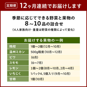 S096-004-T12_【定期便12回】季節のおまかせ野菜と果物セット