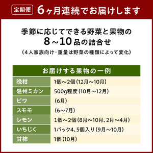 S096-004-T06_【定期便6回】季節のおまかせ野菜と果物セット