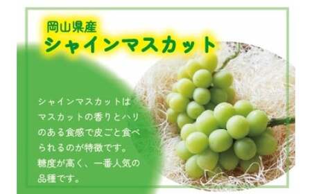 【2026年先行予約】 ここちとふぁーむ 【ギフト】 岡山県産 シャインマスカット＆旬のおまかせぶどう 2～3房 約1kg 【koko015-01】