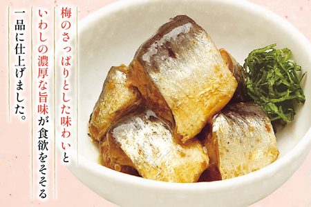 いわし 梅煮 100g 30袋 計3kg [気仙沼市物産振興協会 宮城県 気仙沼市 20565956]
