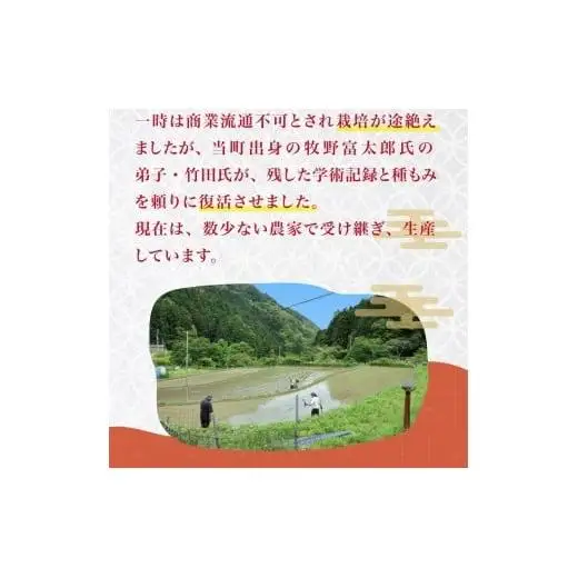 縁起米 9合 桐箱 付き ブレンド米