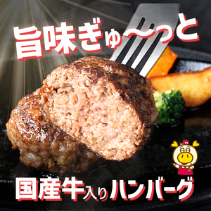 ロピア 牛肉100％ 国産牛入りハンバーグ (タネ：1650g) 春日市限定 牛肉 味付け肉 下味付き ロピア LOPIA 味付け 惣菜 おかず 冷凍 焼くだけ タネ ＜離島配送不可＞【ksg1867】【ロピア】