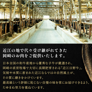 【6ヶ月定期便】 近江牛 すき焼き 500g 6回定期便