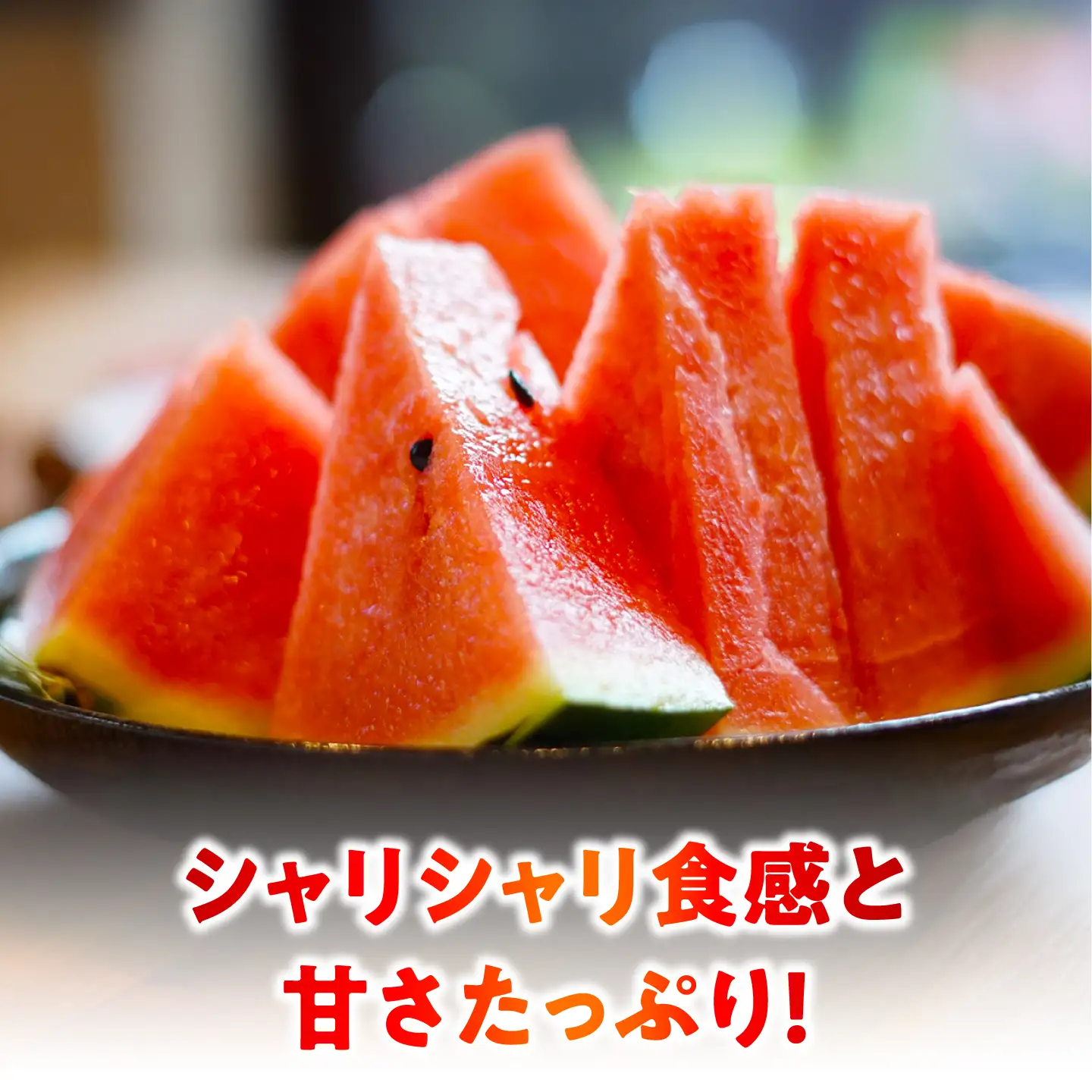 【先行予約】 大玉スイカ！ 特大サイズ（約11kg以上）　厳選 1玉！ すいかの名産地 熊本からお届け 【城野農園】[ZFV003]