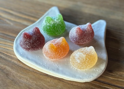 しょこら亭 猫チョコ（4個入）＆ シャ・ド・フリュイ（5個入） 各2セット  お菓子 菓子 スイーツ チョコレート 洋菓子 フランス伝統菓子 贈答 1Z43027