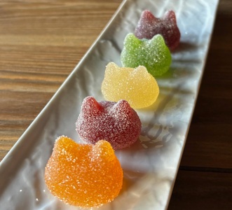 しょこら亭 シャ・ド・フリュイ（chat・do・fruits） 5個入り×3セット お菓子 菓子 スイーツ 洋菓子 フランス伝統菓子 贈答 1Z46018
