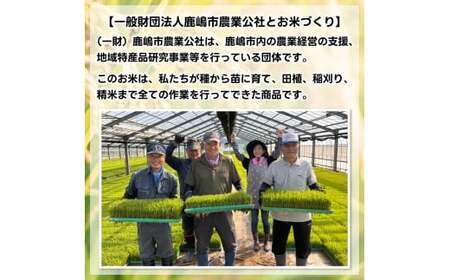 ★令和8年産 先行予約★ 数量限定 米 精米 白米 5kg「こしひかり」先行予約 鹿嶋市産【令和8年産 コシヒカリ 5キロ お米 コメ ごはん ライス ブランド米 茨城県 鹿嶋市】(KEJ-7)