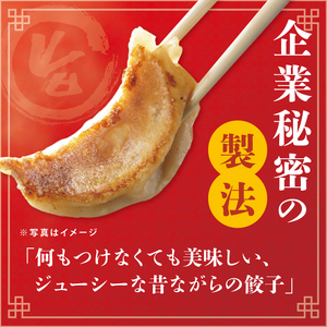旨味たっぷり！本場プロの中華料理人が作る みとしゃん生餃子 40個（CS-2）