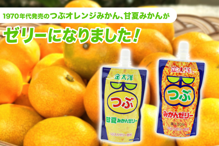AJ235 金太洋 つぶみかんゼリー つぶ甘夏みかんゼリー 150gパウチ×各1個 [株式会社島原観光ビューロー 長崎県 島原市] 