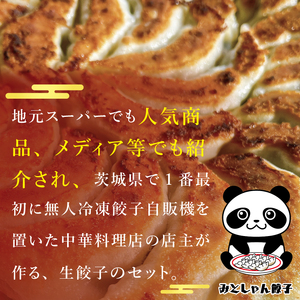 旨味たっぷり！本場プロの中華料理人が作る みとしゃんジャンボ餃子 20個（CS-4）