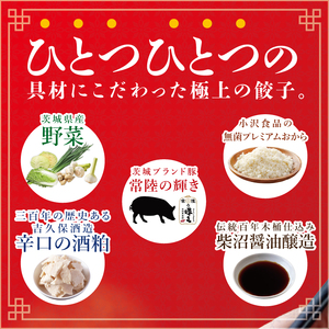 旨味たっぷり！本場プロの中華料理人が作る みとしゃんジャンボ餃子プレミアム 24個（CS-9）