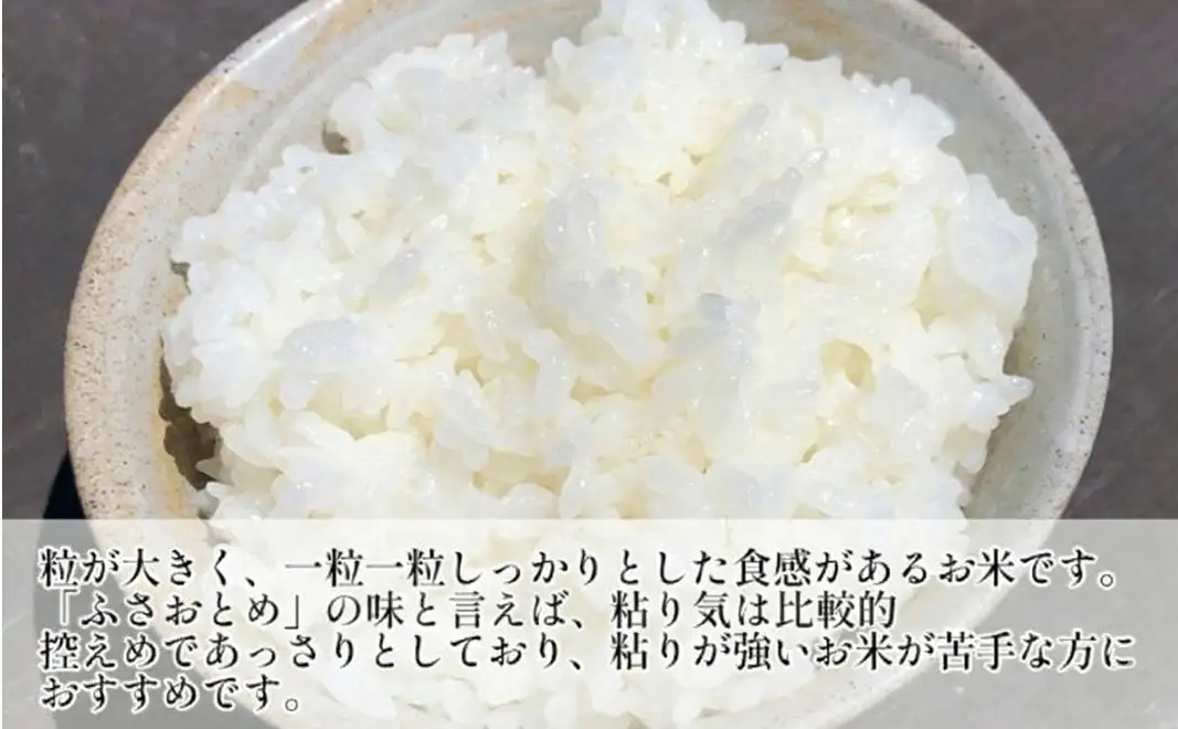 のり　ふさおとめセットB　　【ふさおとめ 2kg無洗米 ・味のり明太子、しそ】　お米 米 こめ コメ 海苔 セット コラボ商品 千葉県 千葉市