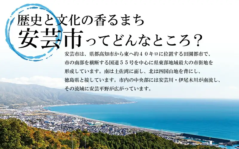 ヨーグルトのお酒 8本 セット ヨーグルト | お酒 高知県 安芸市
