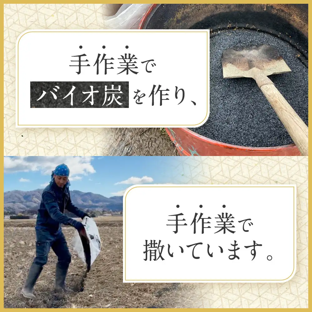 【令和7年産】つや姫 5kg×1 CO2削減 環境配慮米｜7年産米 つや姫 ブランド米 銘柄米 SDG’s 宮城県角田市産 米 コメ 白米 精米