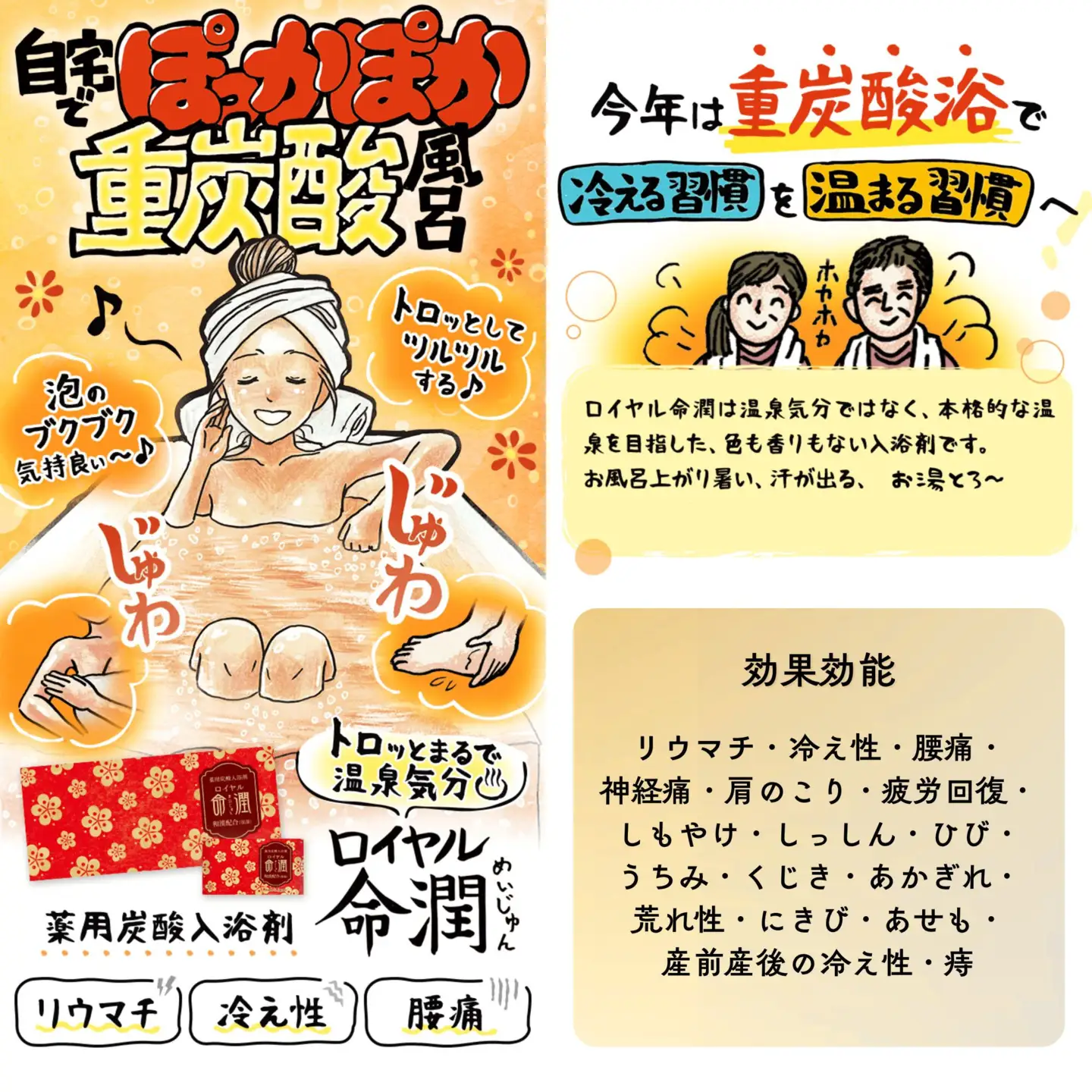 【渡辺】薬用炭酸入浴剤 ロイヤル命潤 30包｜京都 入浴剤 人気セット