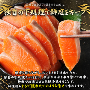 生食用 サーモン ブロック(計1kg・250g×4P) 鮭 小分け 真空 パック 冷凍 刺身 シャケ サケ 魚 魚介 【AW-100】【丸正水産】