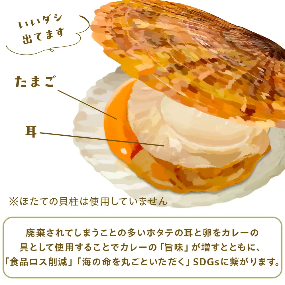 ホタテの卵とミミのはまとんカレー（中辛）5箱