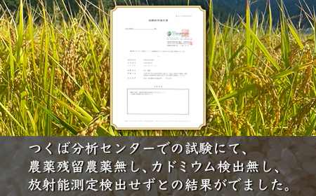 【令和7年度産米】尾谷農園 自然栽培米コシヒカリ 精米5kg ※北海道・沖縄・離島への配送不可
