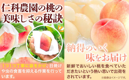 桃 通常品種おまかせ 2kg もも 桃