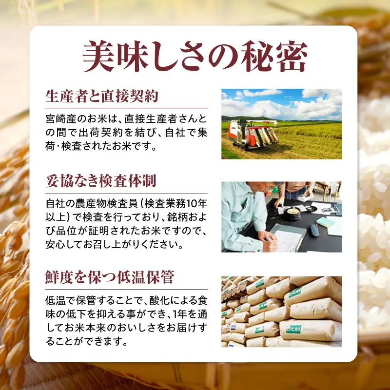 《令和7年産》宮崎県産コシヒカリ 合計10kg(5kg×2袋) コシヒカリ 宮崎県産 超早場米 早場米 精米 白米 お米 米 ごはん 主食 炭水化物