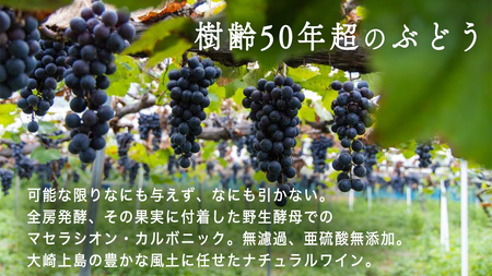 海底貯蔵 ワイン 「海底貯蔵 エヌ by Vignoble de NAKA rouge MBA」【2026年6月以降発送】