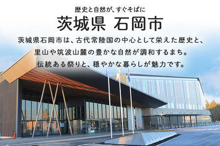 【応援寄附】茨城県石岡市　返礼品なしのご寄附　3.000円 茨城県 石岡市 G19-002
