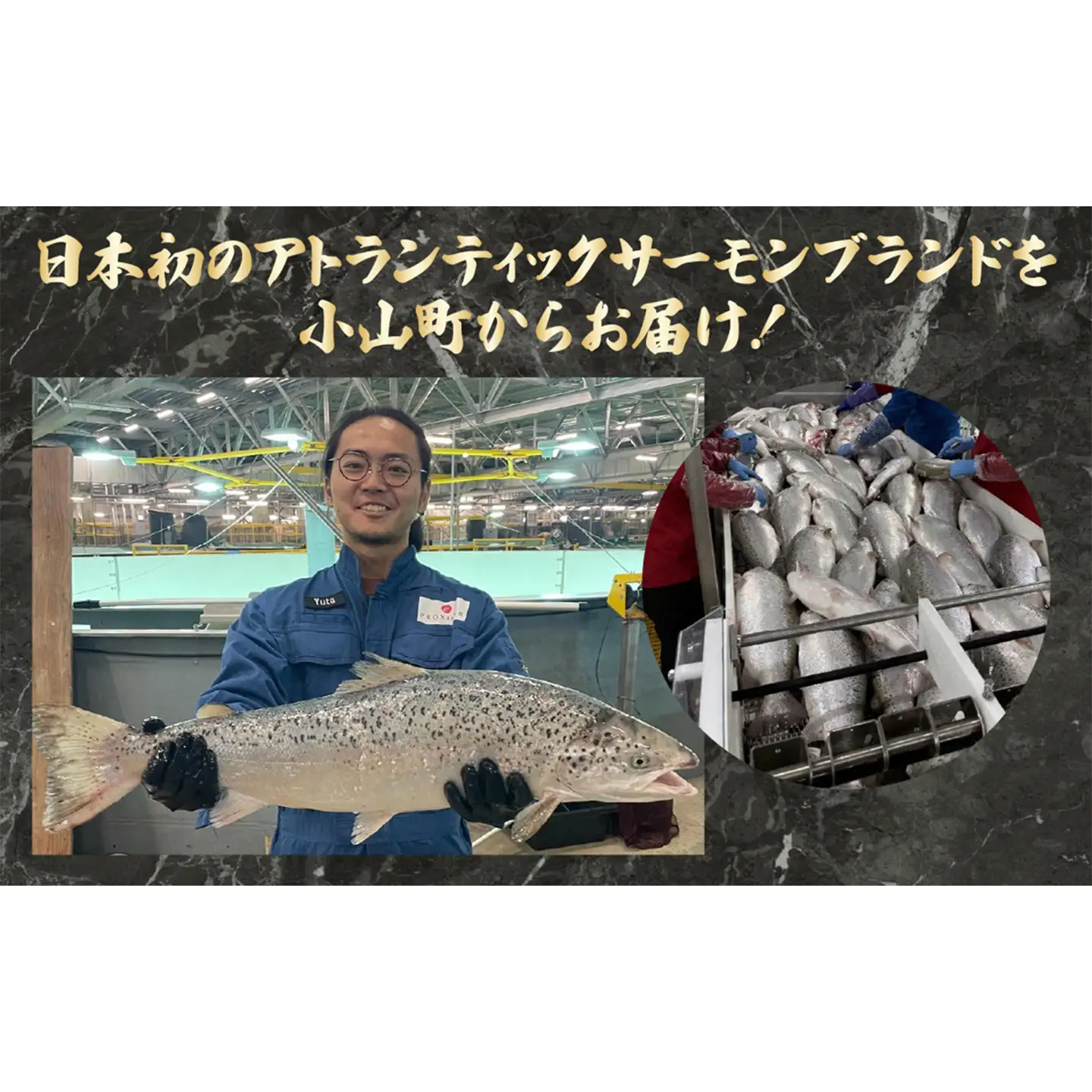 サーモン 冷凍 4～5P 約1kg サーモン