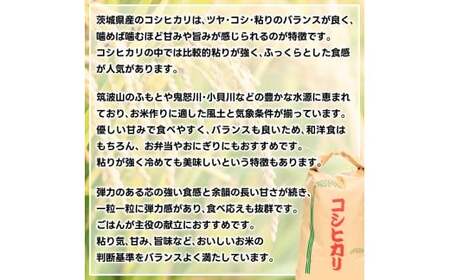 先行予約 令和8年産 米 コシヒカリ 10kg 精米 鹿嶋市産