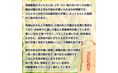 先行予約 令和8年産 米 コシヒカリ 30kg 精米 鹿嶋市産