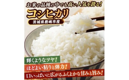 先行予約 令和8年産 米 コシヒカリ 30kg 玄米 鹿嶋市産