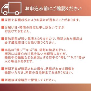 2026年 先行予約 岡山県産 黄色い桃 匠の黄金桃 4kg箱 10～15玉 内田農園 桃 果物 もも