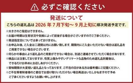 ミニトマト 約3kg 野菜 トマト キャロルセブン とまと 高糖度 浦臼産 北海道産 国産 3kg 北海道 浦臼町 【2026年7月下旬～9月上旬発送予定】